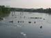 Fishing Boats, Willamette River, Oregon City